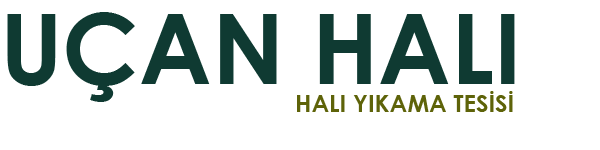 bolu halı yıkama